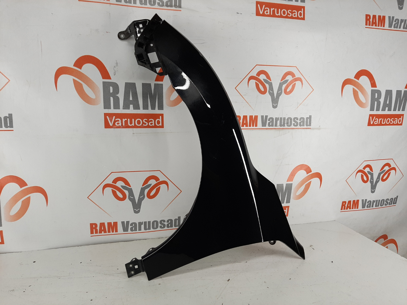 Honda Civic X esitiib / front fender