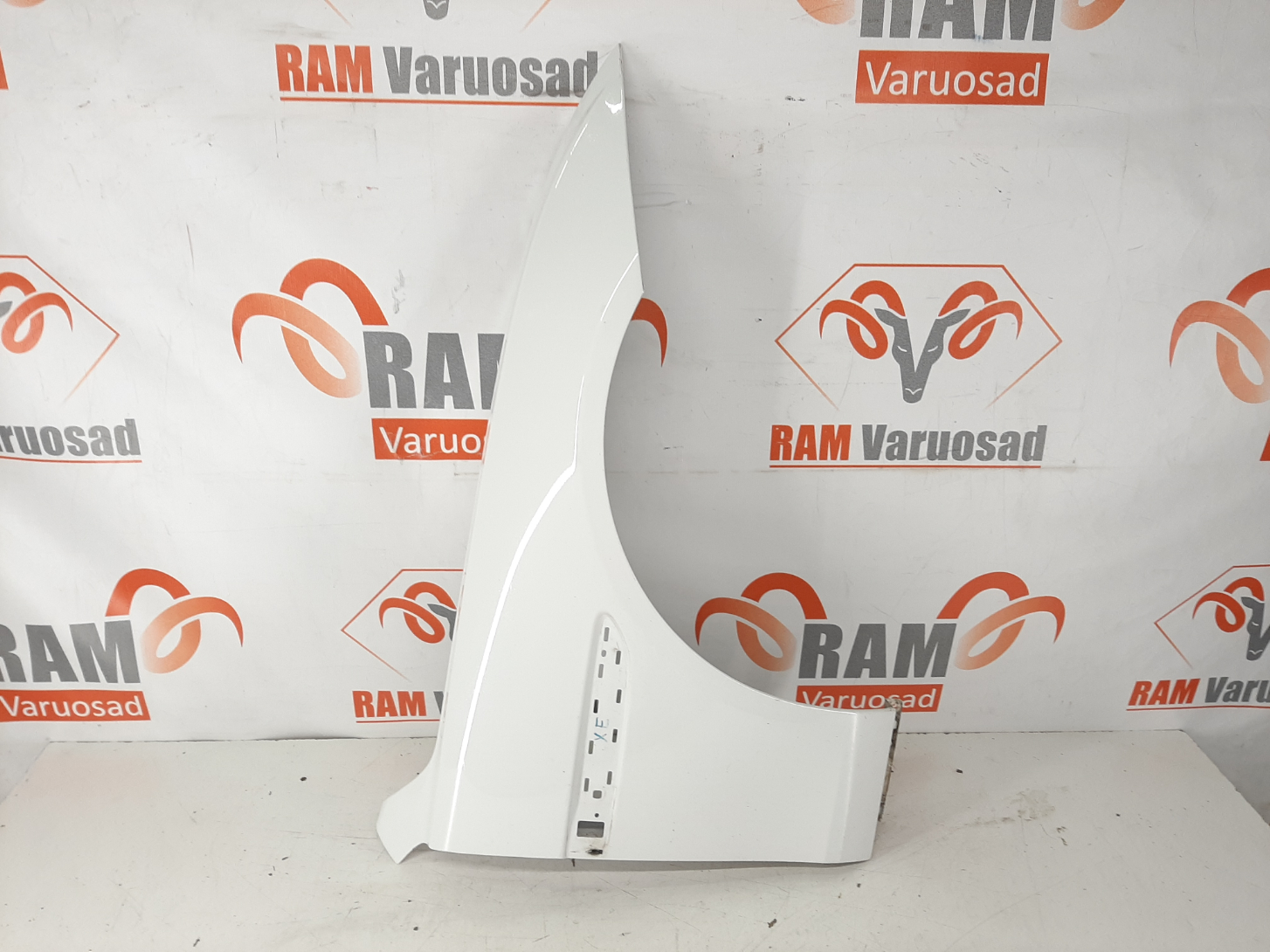 Jaguar XE esitiib/ front fender