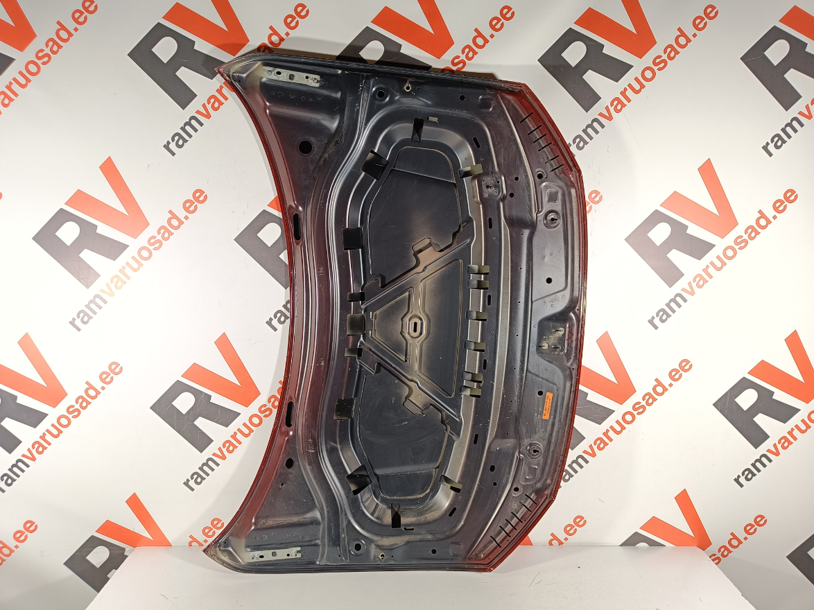 VW Tiguan kapott / hood - pilt 5